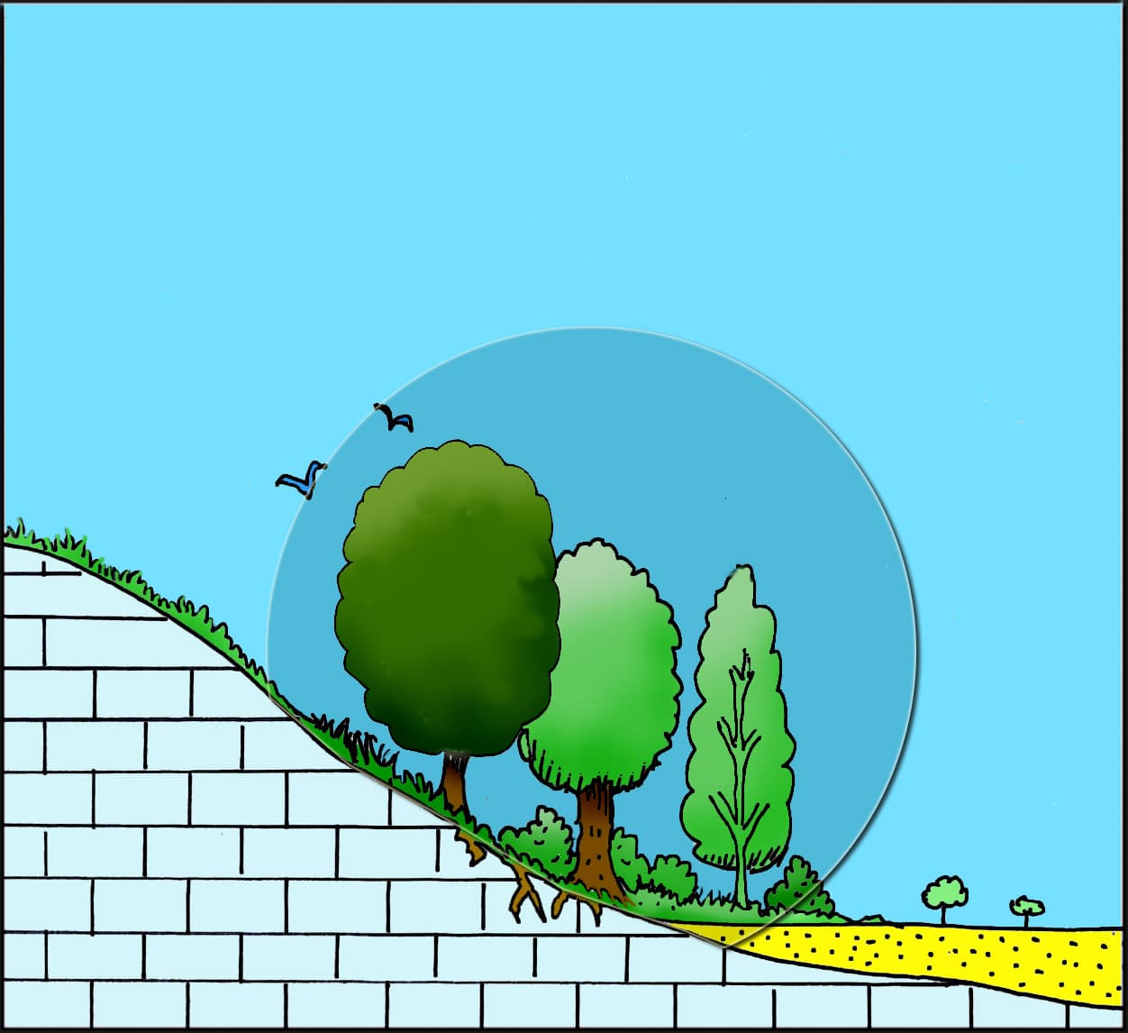 Biotope — Wikipédia