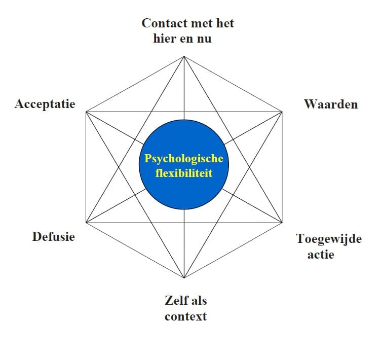 Thérapie d'acceptation et d'engagement — Wikipédia