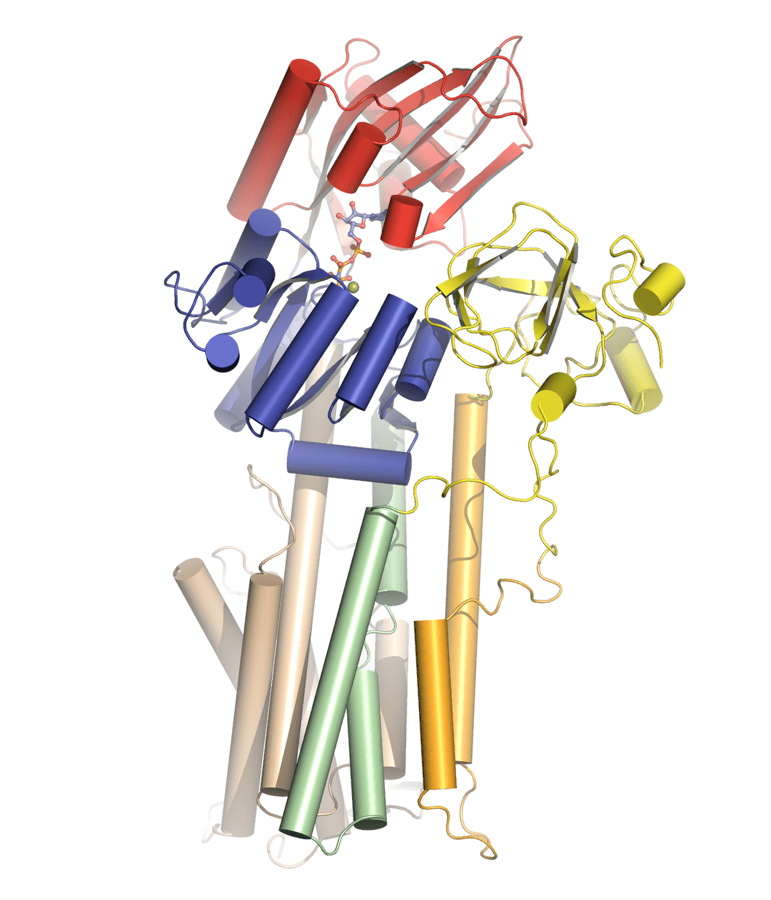 ATPase — Wikipédia