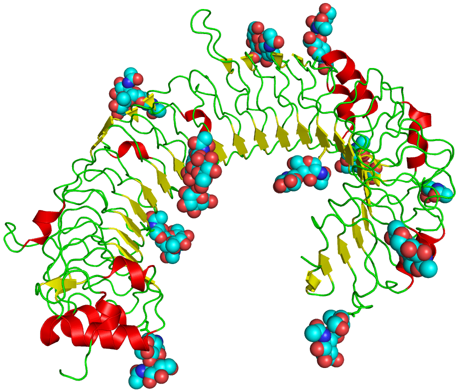 Toll-like receptor - Wikipedia