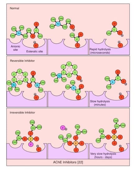 Anticholinestérase — Wikipédia