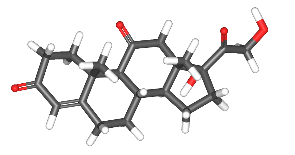 Cortisone — Wikipédia