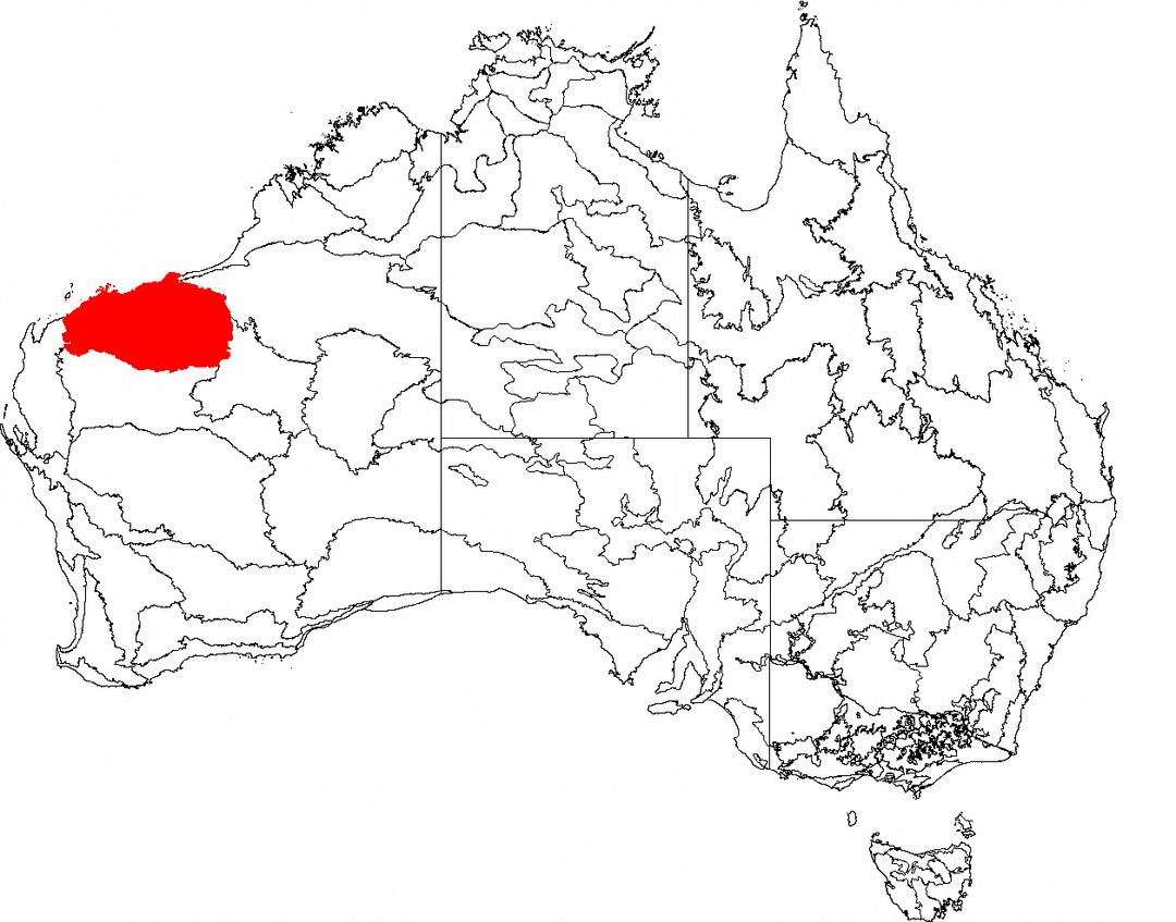 Craton de Pilbara — Wikipédia