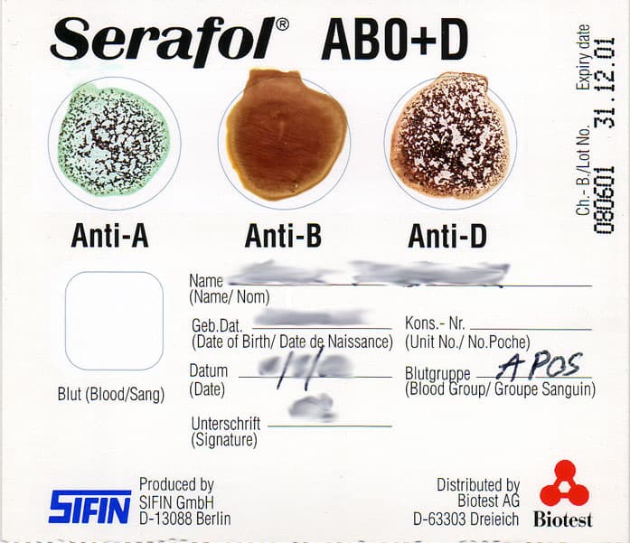Agglutination (biologie) — Wikipédia