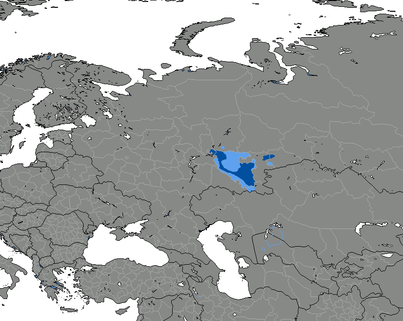 Bachkir — Wikipédia