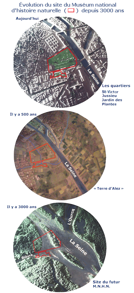 Histoire de l'environnement — Wikipédia