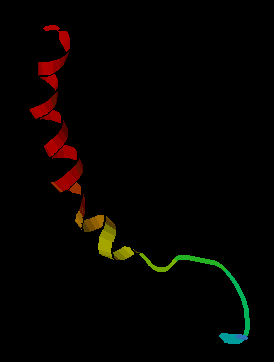Neuropeptide - Wikipedia