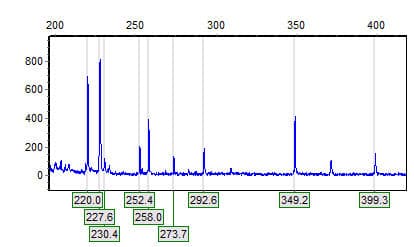 Amplified fragment length polymorphism - Wikipedia
