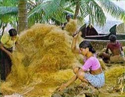 Fibre de coco — Wikipédia
