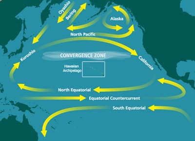Boundary current - Wikipedia