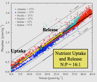 Redfield ratio - Wikipedia