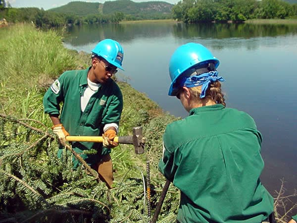 Ecological engineering - Wikipedia