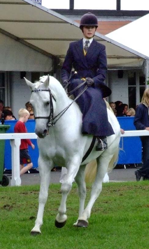 Sidesaddle - Wikipedia