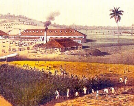 Plantation - Wikipedia