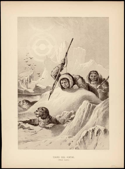 Chasse aux phoques — Wikipédia