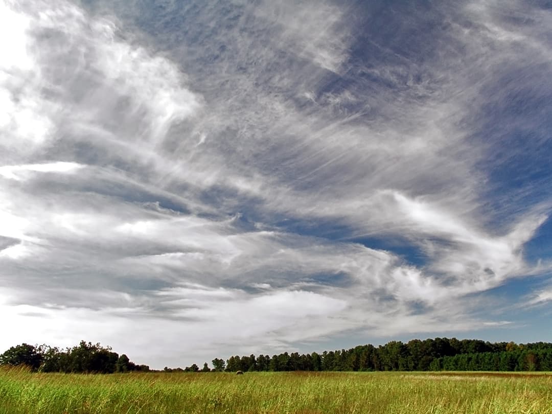 Cirrus cloud - Wikipedia