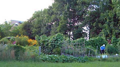 Community gardening - Wikipedia