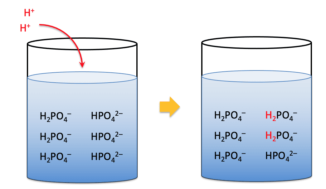 Solution tampon — Wikipédia