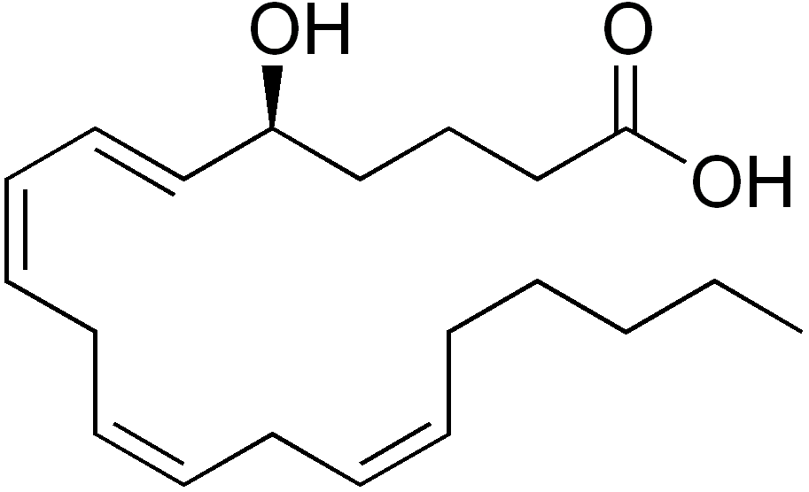 Acide 5-hydroxyeicosatétraénoïque — Wikipédia
