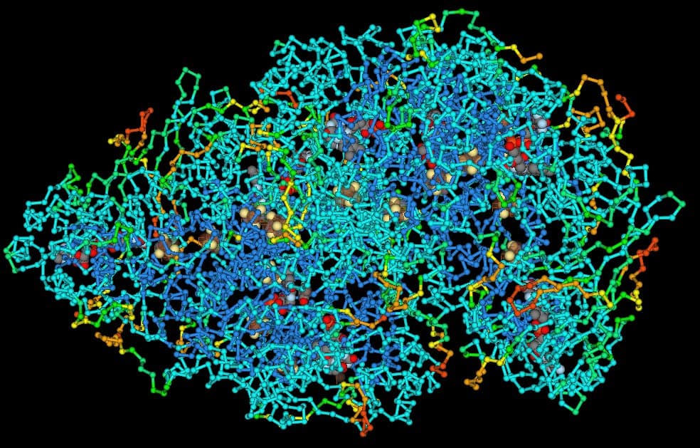 Macromolecule - Wikipedia