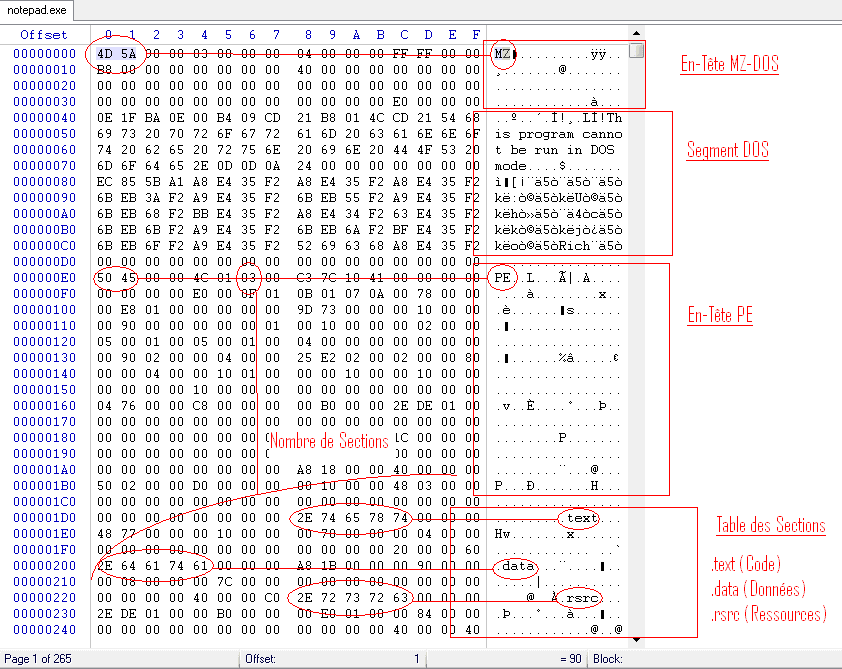 Portable Executable — Wikipédia
