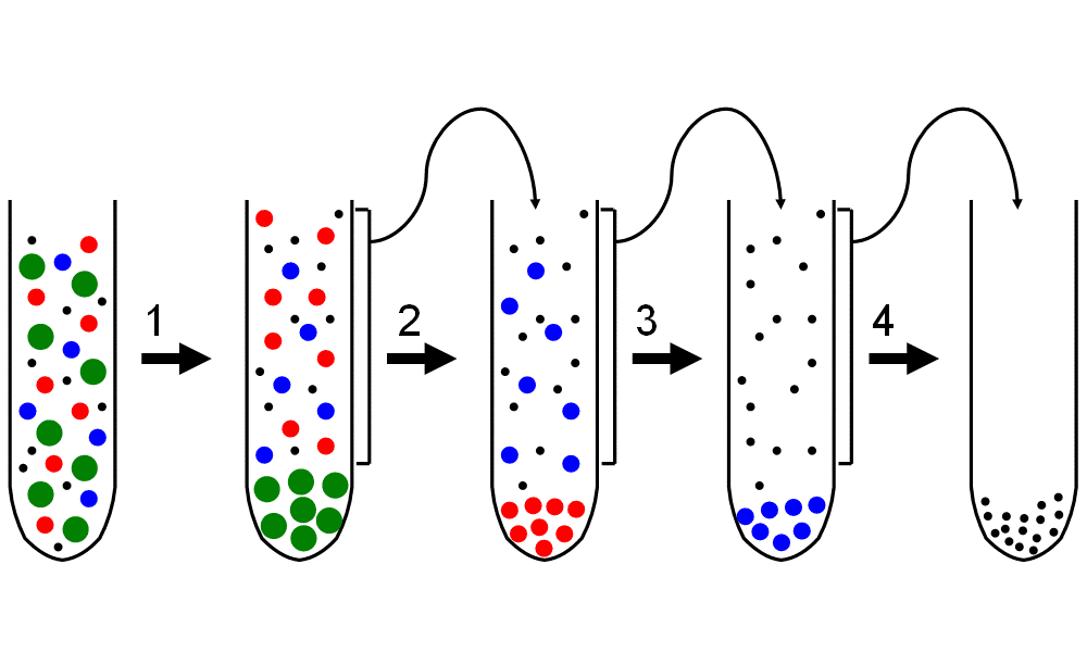 Differential centrifugation - Wikipedia