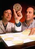 Microbiologist - Wikipedia
