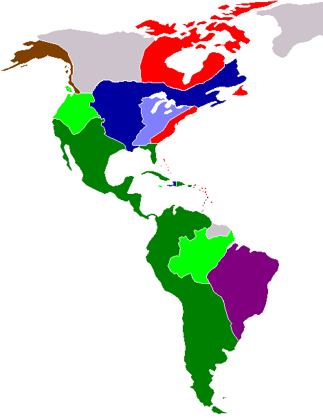 Colonisation européenne des Amériques — Wikipédia