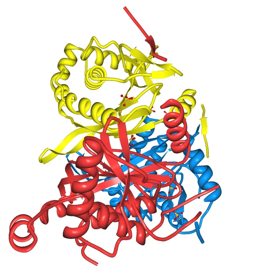 Zymogen - Wikipedia