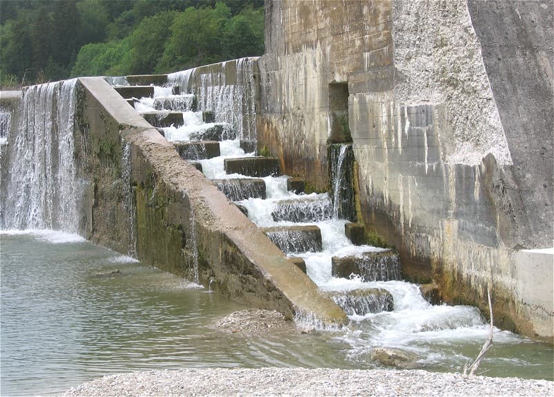 Échelle à poissons — Wikipédia