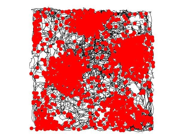 Grid cell - Wikipedia