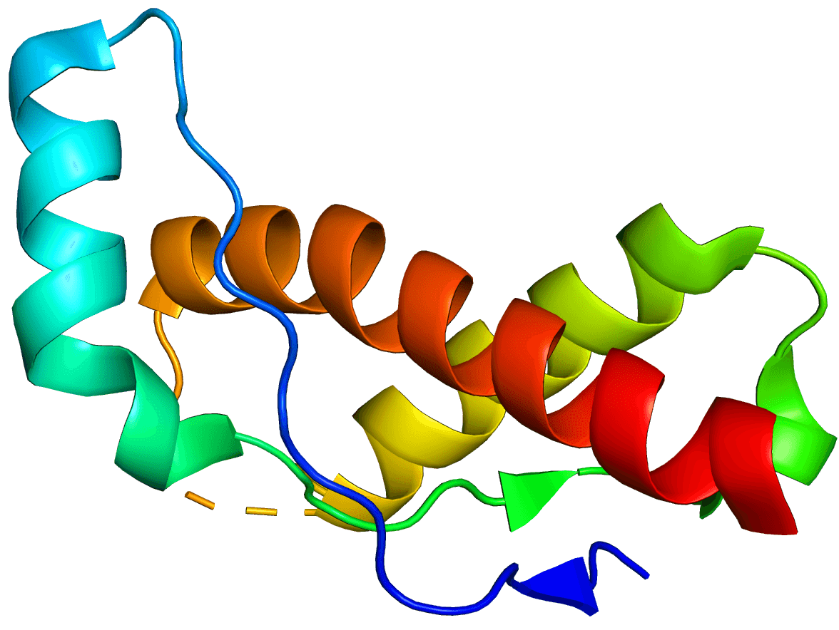 Prion - Wikipedia