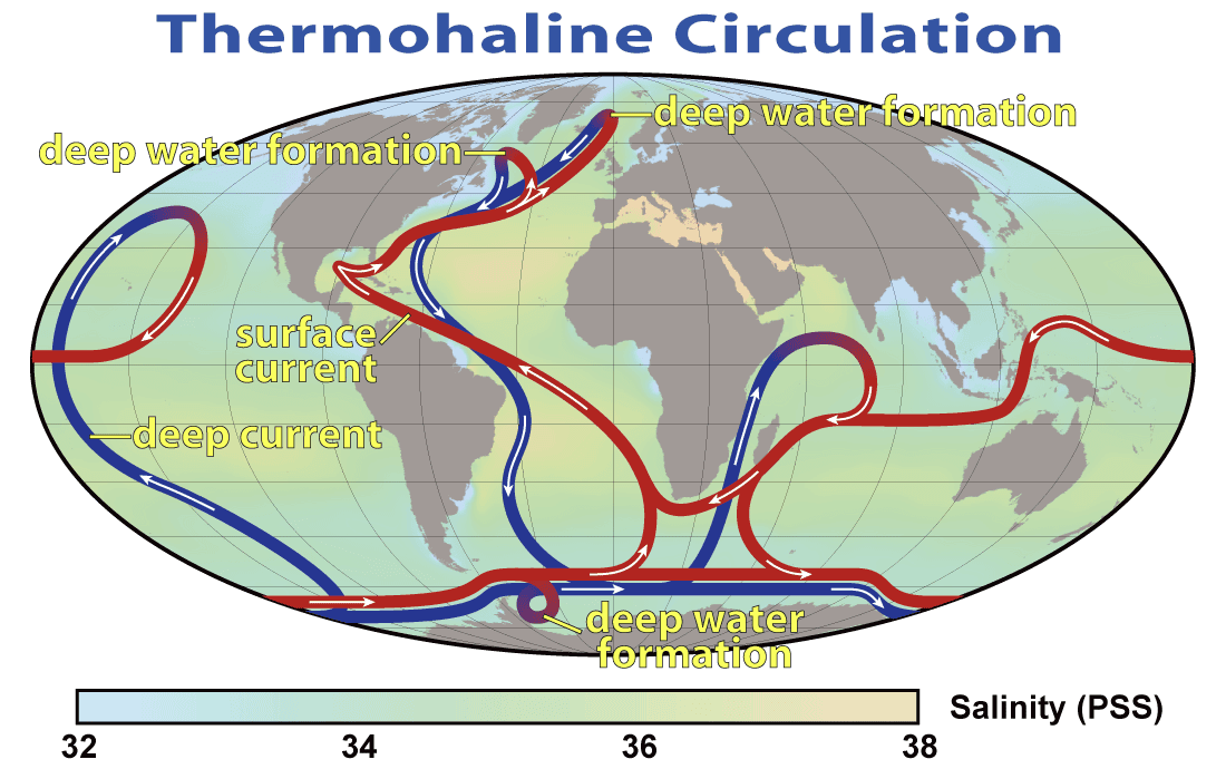 Thermohaline circulation - Wikipedia