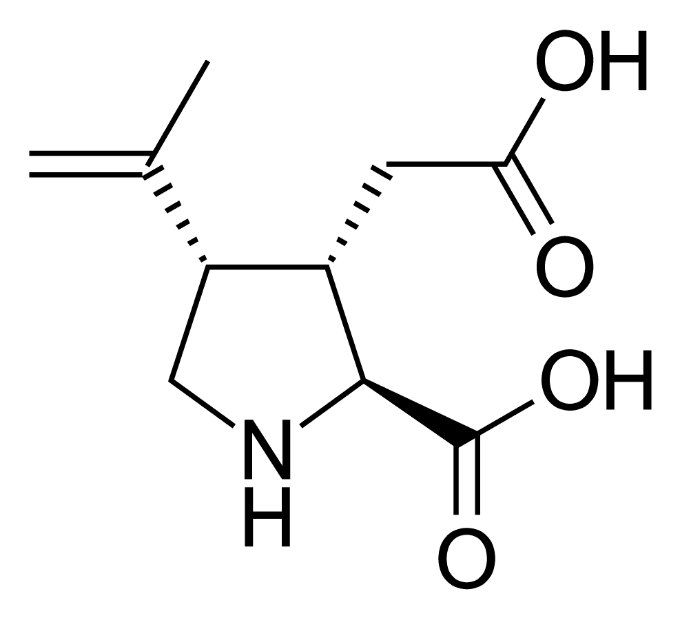Kainic acid - Wikipedia