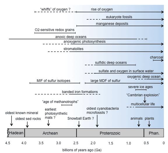 Géobiologie (science) — Wikipédia