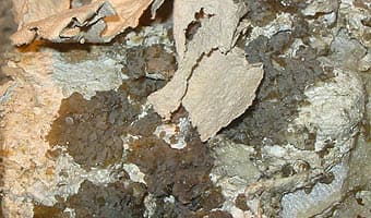 Palygorskite - Wikipedia