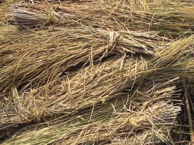 Straw - Wikipedia