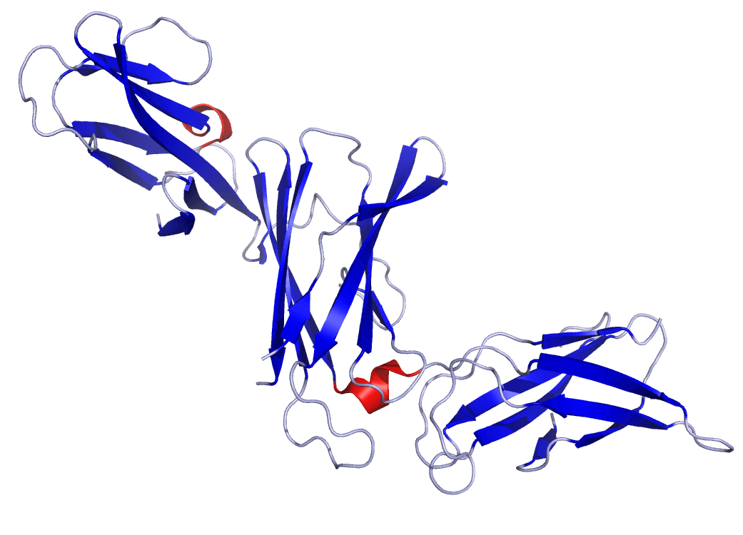 Interleukin 23 - Wikipedia