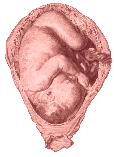 Diabetes and pregnancy - Wikipedia