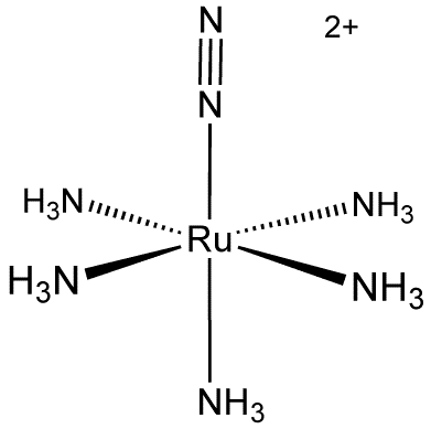Ammine — Wikipédia