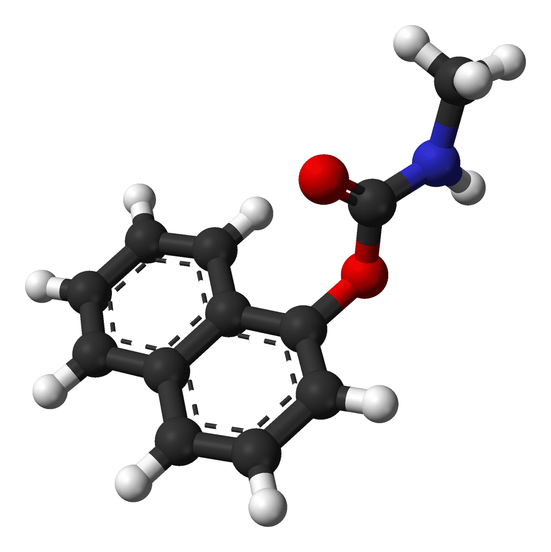 Carbaryl - Wikipedia