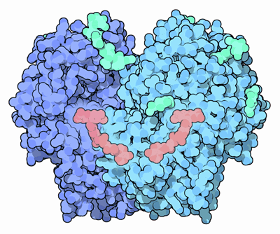 Glucose oxidase - Wikipedia