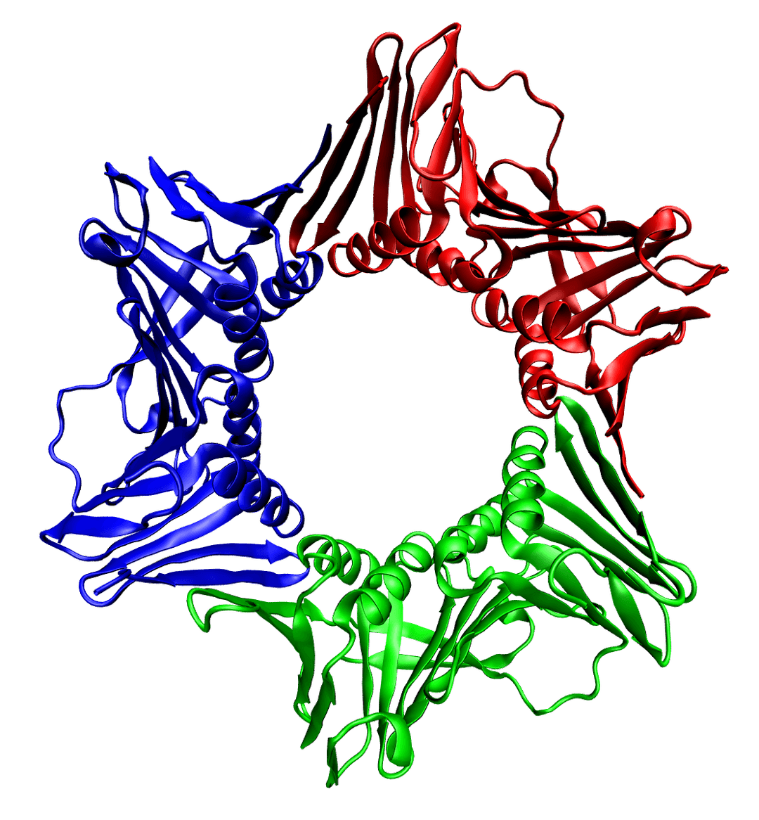 Proliferating cell nuclear antigen - Wikipedia