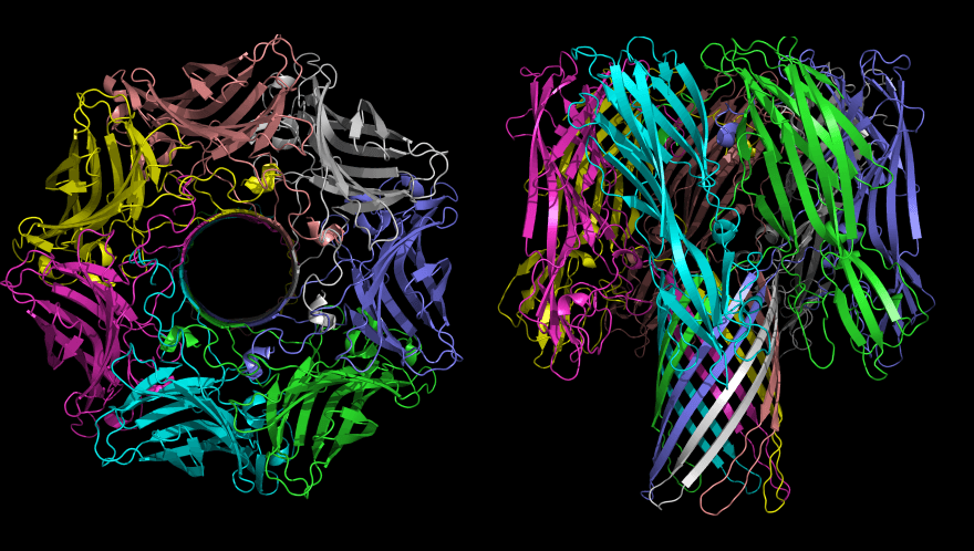 Pore-forming toxin - Wikipedia