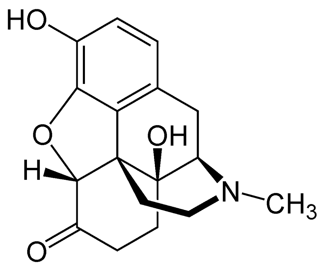 Oxymorphone - Wikipedia