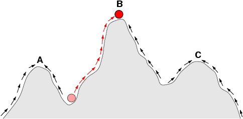 Shifting balance theory - Wikipedia