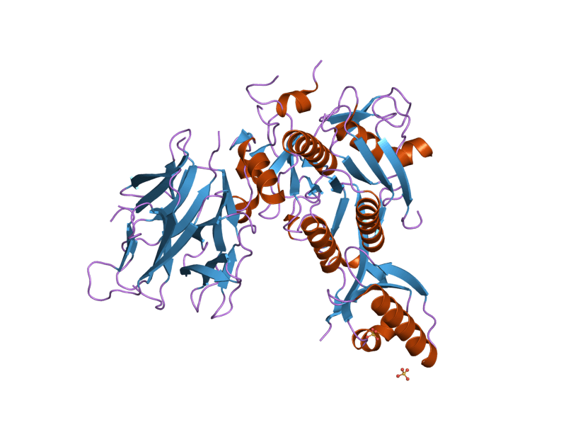 Subtilisin - Wikipedia