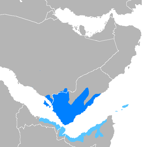 Arabe yéménite — Wikipédia
