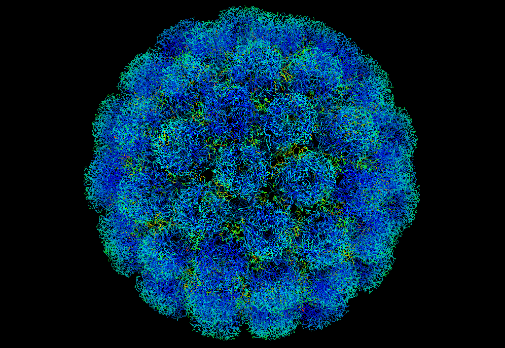 Virus simien 40 — Wikipédia