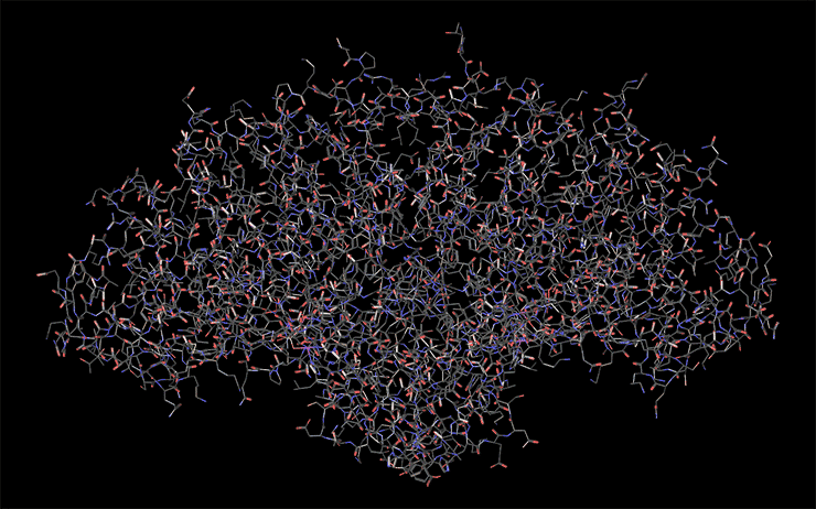 Phosphatase — Wikipédia